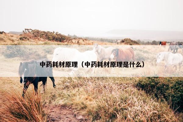 中药耗材原理（中药耗材原理是什么）