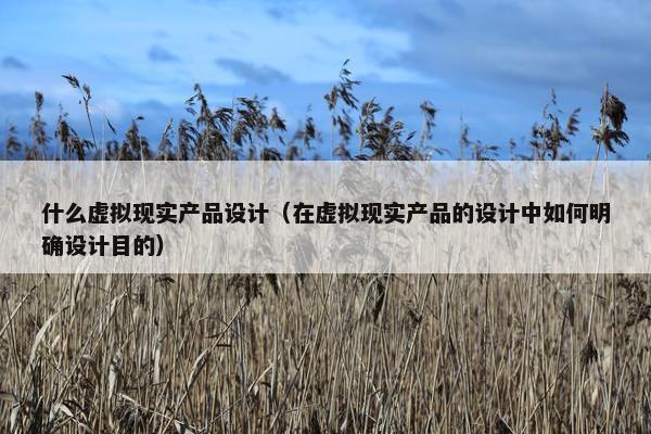 什么虚拟现实产品设计（在虚拟现实产品的设计中如何明确设计目的）