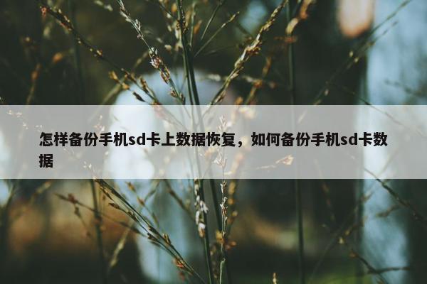 怎样备份手机sd卡上数据恢复，如何备份手机sd卡数据