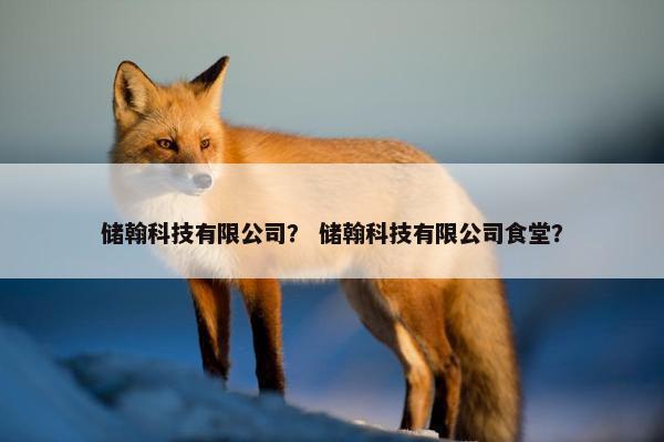 储翰科技有限公司？ 储翰科技有限公司食堂？
