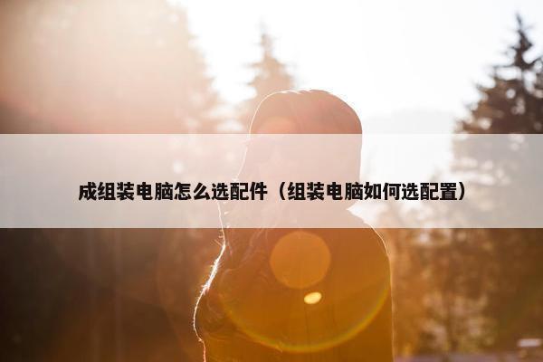成组装电脑怎么选配件（组装电脑如何选配置）