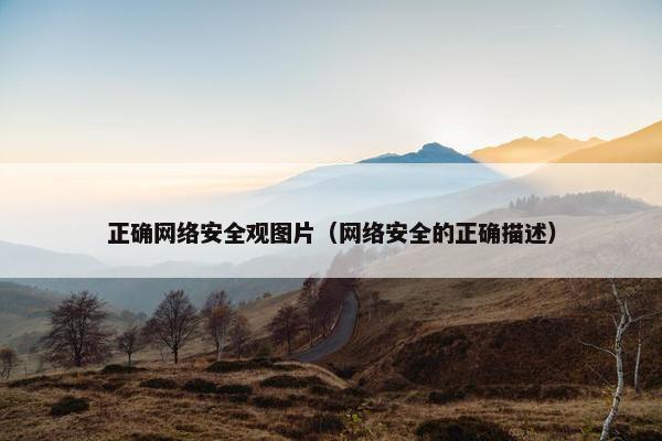 正确网络安全观图片（网络安全的正确描述）