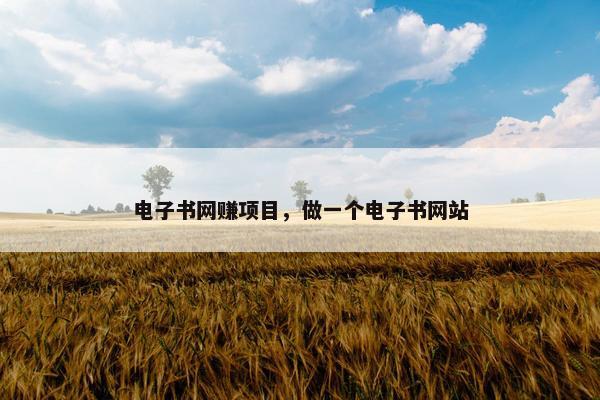 电子书网赚项目，做一个电子书网站