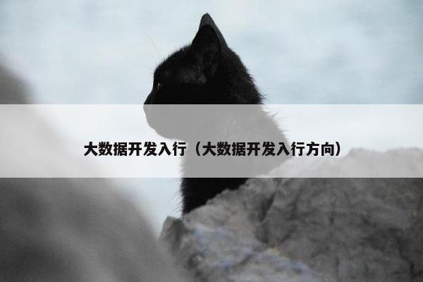 大数据开发入行（大数据开发入行方向）