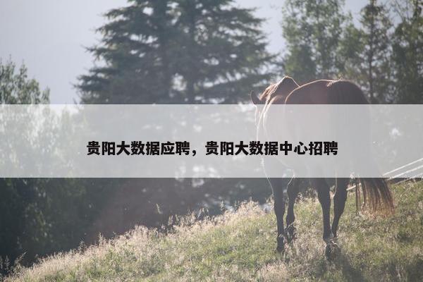 贵阳大数据应聘，贵阳大数据中心招聘