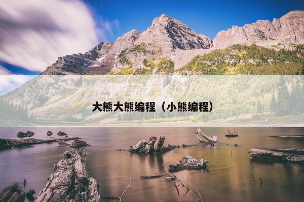 大熊大熊编程（小熊编程）