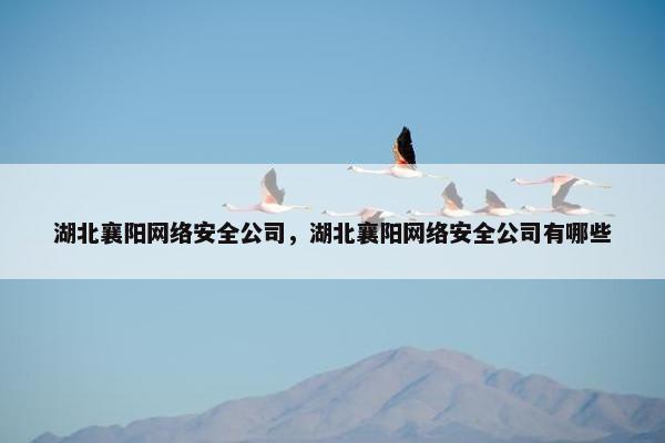 湖北襄阳网络安全公司，湖北襄阳网络安全公司有哪些