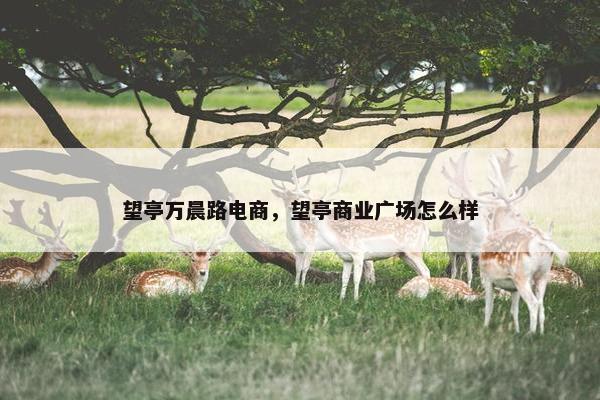 望亭万晨路电商，望亭商业广场怎么样