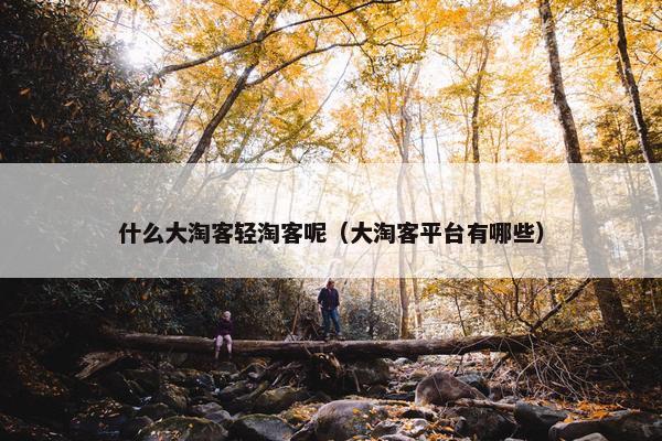 什么大淘客轻淘客呢（大淘客平台有哪些）