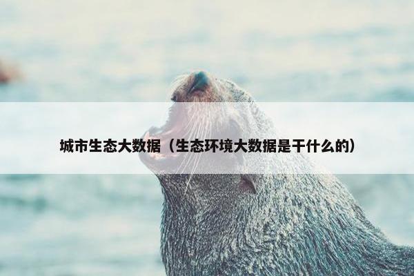 城市生态大数据（生态环境大数据是干什么的）