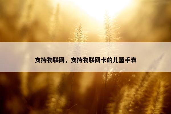 支持物联网，支持物联网卡的儿童手表