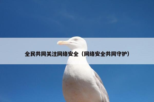 全民共同关注网络安全（网络安全共同守护）