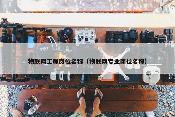 物联网工程岗位名称（物联网专业岗位名称）