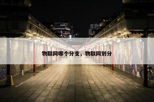 物联网哪个分支，物联网划分