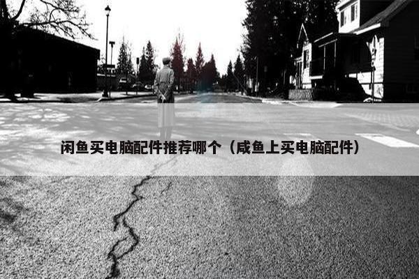 闲鱼买电脑配件推荐哪个（咸鱼上买电脑配件）