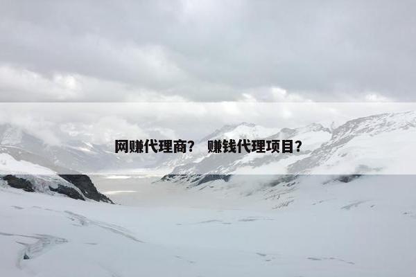 网赚代理商？ 赚钱代理项目？