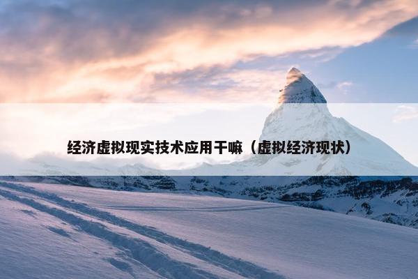 经济虚拟现实技术应用干嘛（虚拟经济现状）