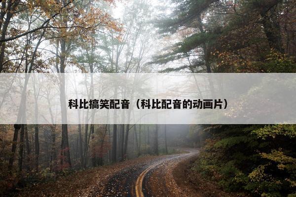 科比搞笑配音（科比配音的动画片）