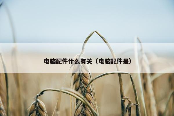 电脑配件什么有关（电脑配件是）