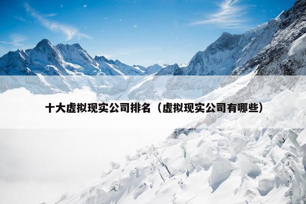 十大虚拟现实公司排名（虚拟现实公司有哪些）