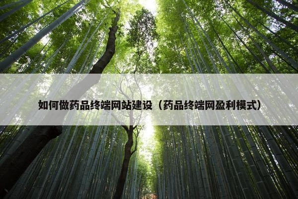 如何做药品终端网站建设（药品终端网盈利模式）