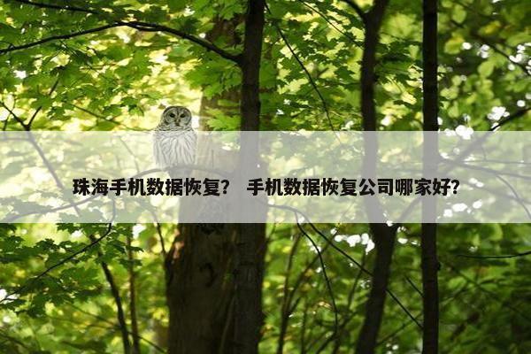 珠海手机数据恢复？ 手机数据恢复公司哪家好？