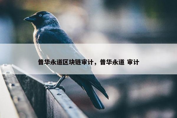 普华永道区块链审计，普华永道 审计