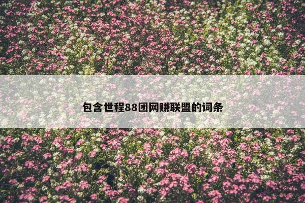 包含世程88团网赚联盟的词条