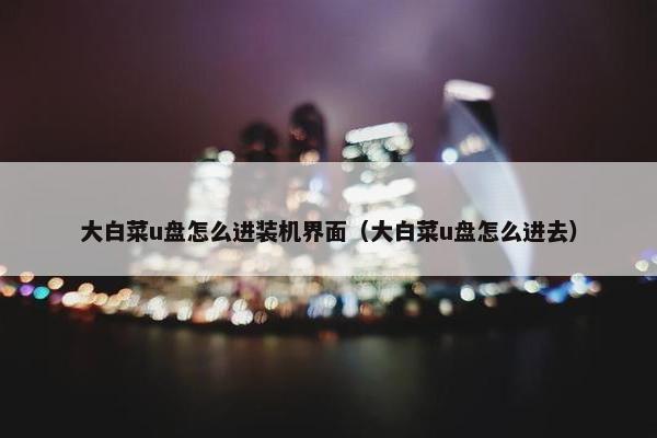 大白菜u盘怎么进装机界面（大白菜u盘怎么进去）