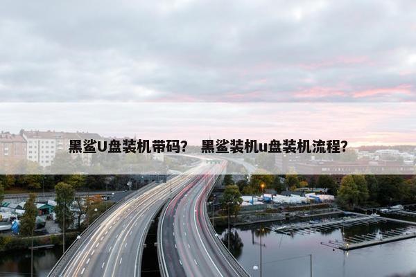 黑鲨U盘装机带码？ 黑鲨装机u盘装机流程？
