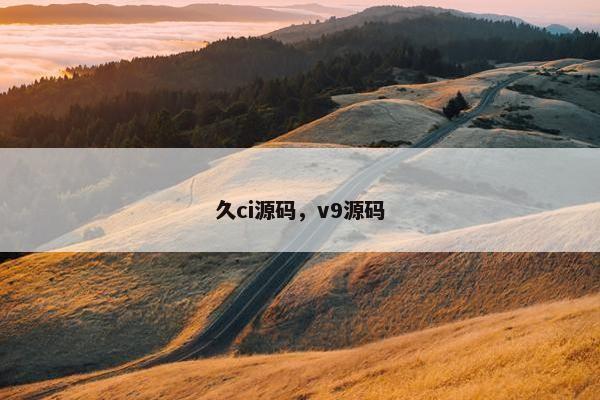 久ci源码，v9源码