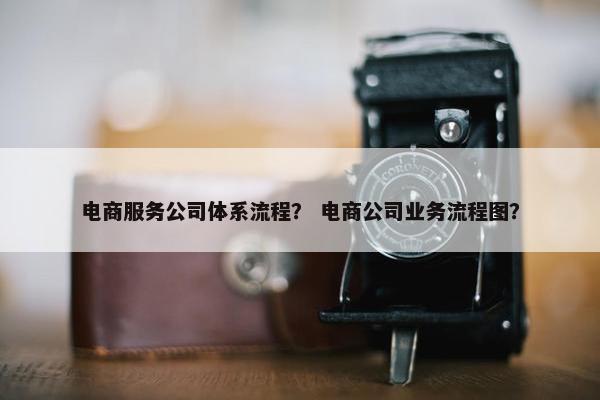 电商服务公司体系流程？ 电商公司业务流程图？