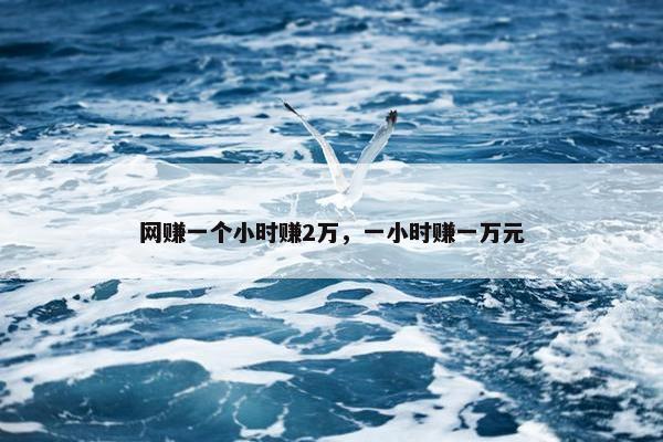 网赚一个小时赚2万，一小时赚一万元