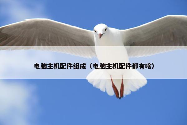 电脑主机配件组成（电脑主机配件都有啥）
