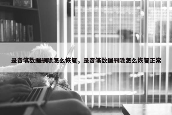 录音笔数据删除怎么恢复，录音笔数据删除怎么恢复正常