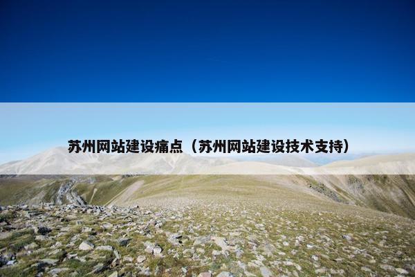 苏州网站建设痛点（苏州网站建设技术支持）