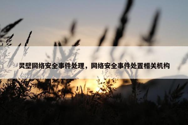 灵壁网络安全事件处理，网络安全事件处置相关机构