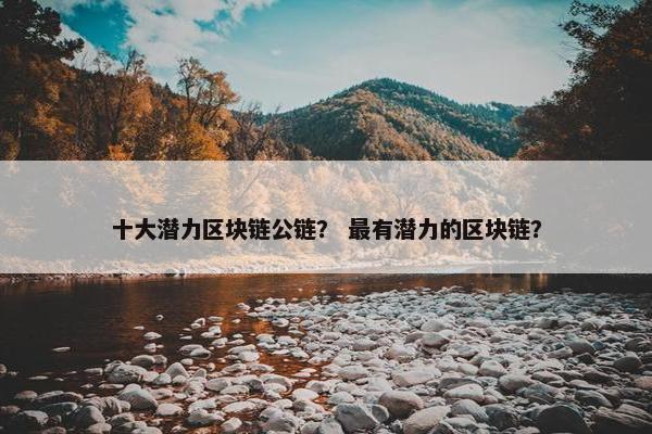 十大潜力区块链公链？ 最有潜力的区块链？