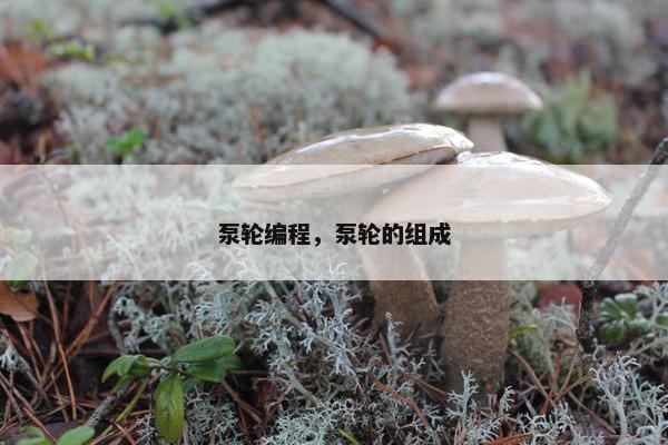 泵轮编程，泵轮的组成