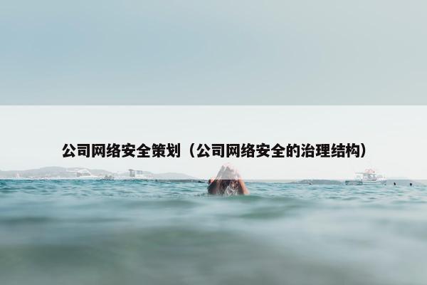 公司网络安全策划（公司网络安全的治理结构）