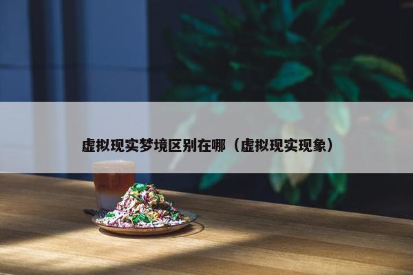 虚拟现实梦境区别在哪（虚拟现实现象）