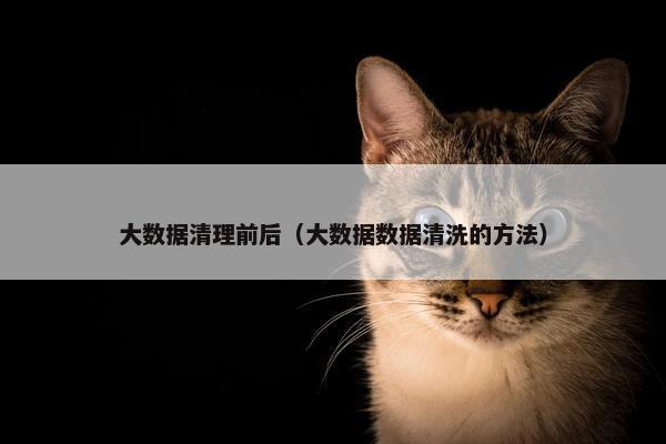 大数据清理前后（大数据数据清洗的方法）
