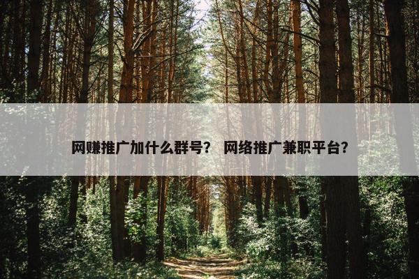 网赚推广加什么群号？ 网络推广兼职平台？
