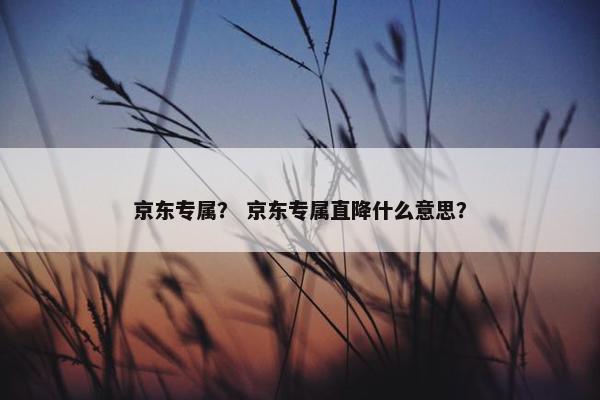 京东专属？ 京东专属直降什么意思？