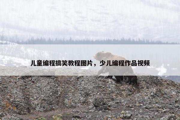 儿童编程搞笑教程图片，少儿编程作品视频