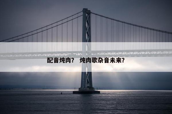 配音炖肉？ 炖肉歌杂音未来？