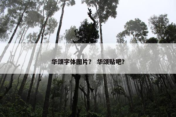 华颂字体图片？ 华颂贴吧？