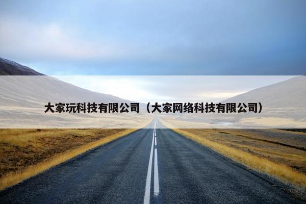 大家玩科技有限公司（大家网络科技有限公司）