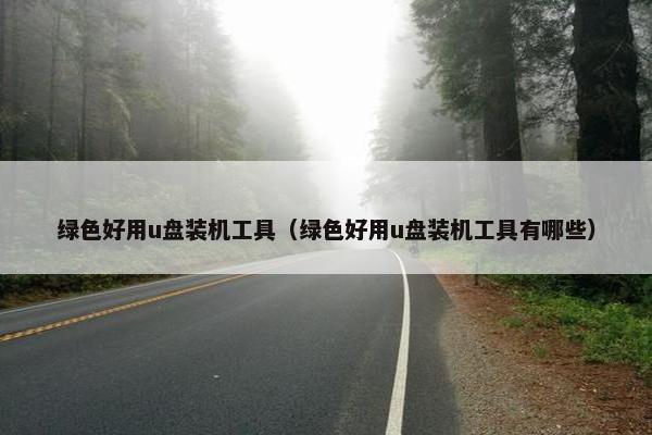 绿色好用u盘装机工具（绿色好用u盘装机工具有哪些）
