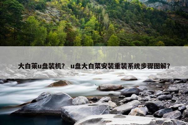 大白莱u盘装机？ u盘大白菜安装重装系统步骤图解？